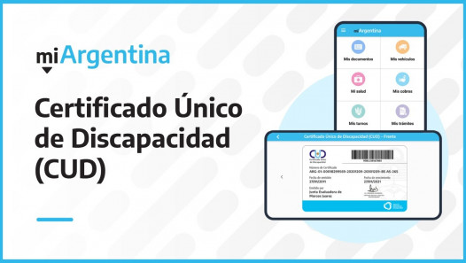 imagen ASESORAMIENTO SOBRE CUD