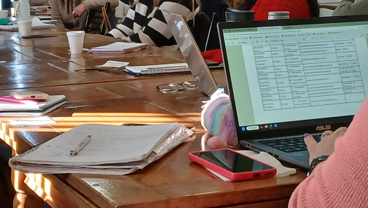imagen Reunión del Consejo Asesor de Inclusión de Personas con Discapacidad