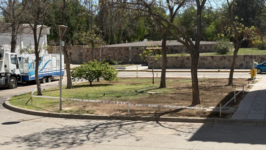 imagen Un año de compostaje en el CIMS: avances y proyección en el campus universitario