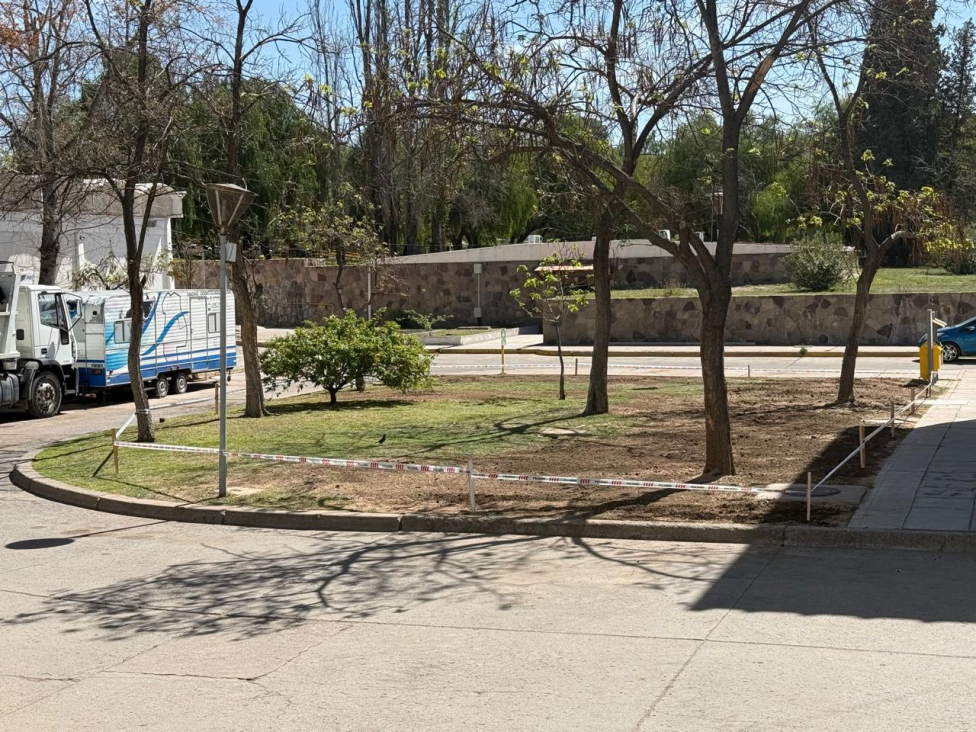 imagen Un año de compostaje en el CIMS: avances y proyección en el campus universitario