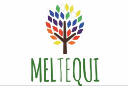 imagen Grupo MELTEQUI