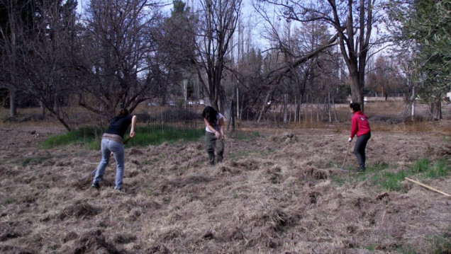 imagen Agroecología para la transformación social