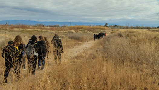 imagen Estudiantes del Martín Zapata participaron en una jornada ambiental en el humedal Arroyo Claro