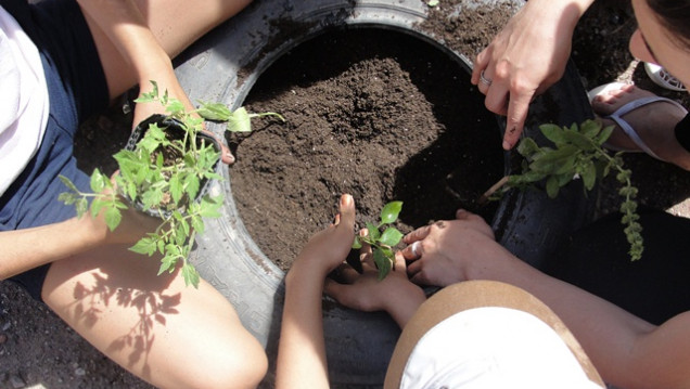 imagen Prácticas Sociales Educativas, una nueva experiencia en la UNCuyo