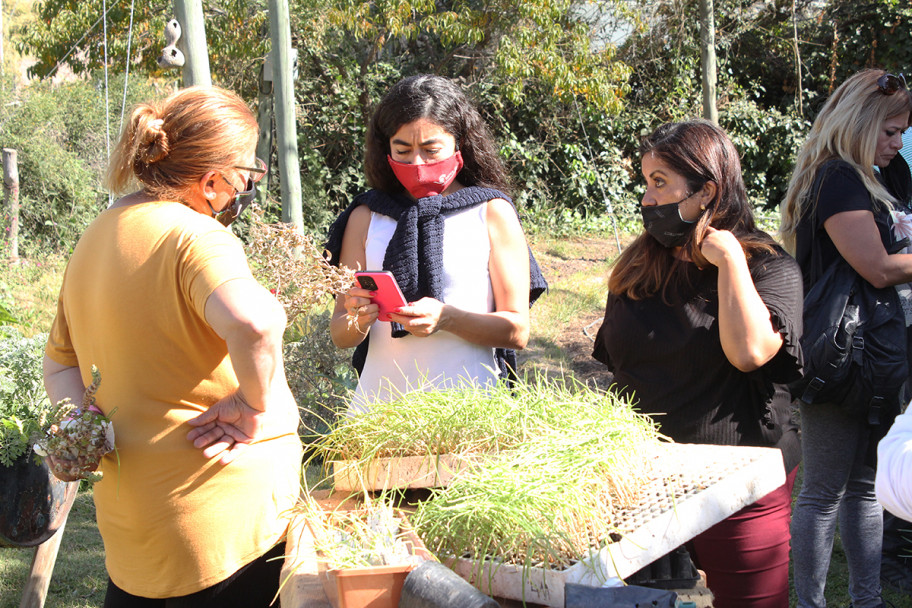 imagen Finalizó la primera etapa del Taller "De la huerta a la mesa"