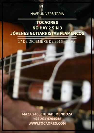imagen Se realizará en la Nave Universitaria un espectáculo de guitarra instrumental