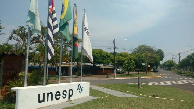 imagen El Taller de Arteterapia fue dictado en la Universidad Estadual Paulista de Brasil