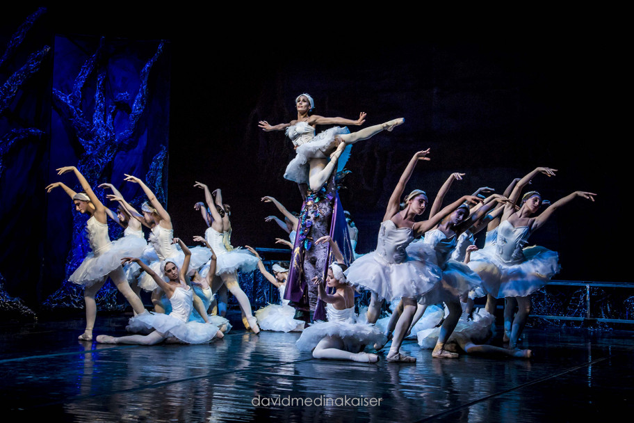 imagen A sala llena "El Lago de los Cisnes" completó cinco noches inolvidables