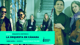 imagen Descargar Programa Orquesta en Cámara - 24/04