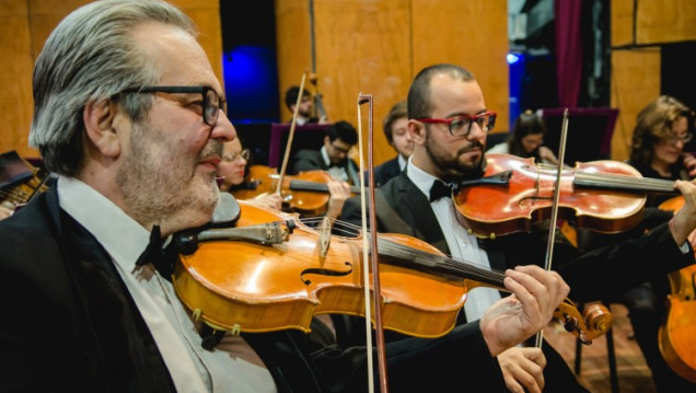 imagen La Orquesta Sinfónica suspende el concurso de viola