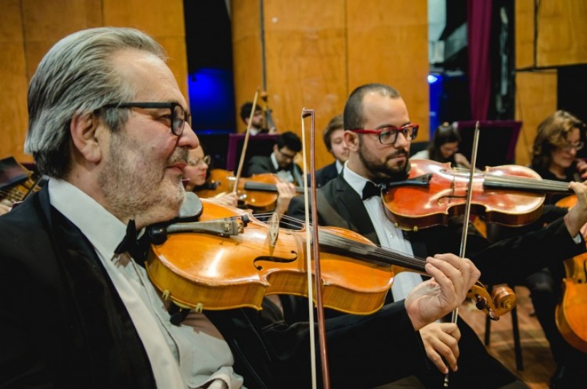 imagen La Orquesta Sinfónica suspende el concurso de viola