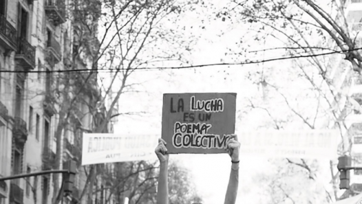 imagen El IDEGEM participó en la elaboración del nuevo libro de la RUGE-CIN sobre los 10 años de los protocolos de género en las universidades