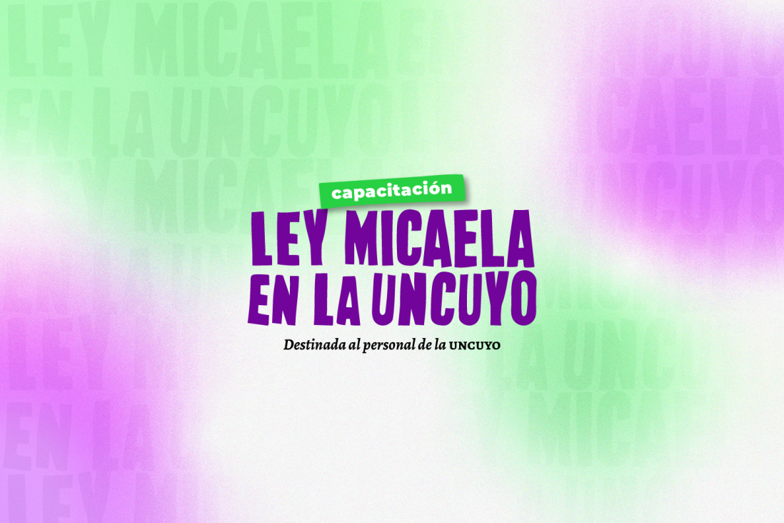 imagen LEY MICAELA