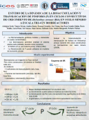 imagen ESTUDIO DE LA DINÁMICA DE LA BIOACUMULACIÓN Y TRANSLOCACIÓN DE FÓSFORO (P) EN CICLOS CONSECUTIVOS DE CRECIMIENTO DE Helianthus annuus (HA) EN SUELO MINERO A ESCALA TRL4 EN BIORREACTORES