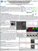 imagen CRISTALES BIOGÉNICOS DE Fe(II) COMO HERRAMIENTA  INNOVADORA DE BIORREMEDIACIÓN EN AGUAS CONTAMINADAS POR CROMO HEXAVALENTE