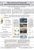 imagen PILOT SCALE ASSAY FOR ARBUSCULAR MYCORRHIZAL FUNGI-ASSISTED PHYTOMINING