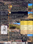 imagen FLORA PRESENTE EN EL SENDERO DE VISITANTES DEL PARQUE DEL HUELLAS DE DINOSAURIOS TESTIGO DEL TIEMPO, EL CLIMA Y LA GEOMORFOLOGÍA