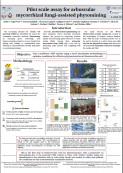 imagen PILOT SCALE ASSAY FOR ARBUSCULAR MYCORRHIZAL FUNGI-ASSISTED PHYTOMINING