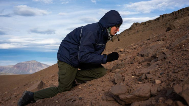 imagen Descubren un mundo fosilizado a 30 kilómetros de El Calafate