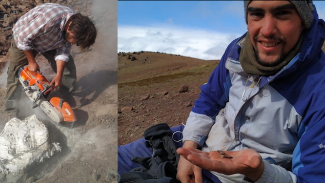 imagen Paleontólogos argentinos hallaron un megarraptor de diez metros de longitud en la Patagonia