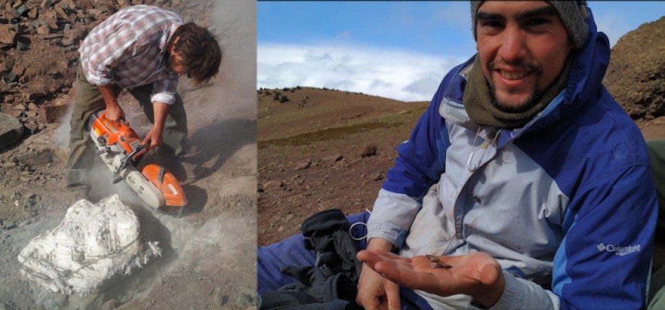 imagen Paleontólogos argentinos hallaron un megarraptor de diez metros de longitud en la Patagonia