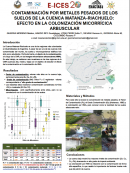 imagen CONTAMINACIÓN POR METALES PESADOS DE LOS  SUELOS DE LA CUENCA MATANZA-RIACHUELO: EFECTO EN LA COLONIZACIÓN MICORRÍCICA  ARBUSCULAR