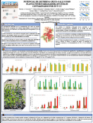 imagen POTENCIAL DE ERYTHRINA CRISTA-GALLI COMO  PLANTA FITOESTABILIZADORA EN SUELOS  CONTAMINADOS POR ZN Y CU