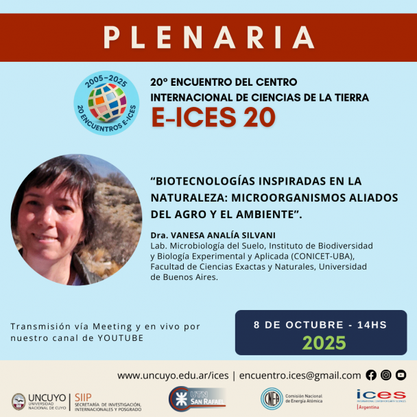 imagen E-ICES 20