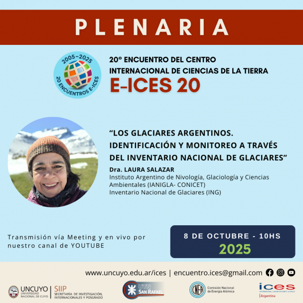 imagen E-ICES 20