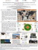 imagen FROM MINING WASTE TO RESOURCE: A TRANSDISCIPLINARY PATHWAY TO A SMART AND SUSTAINABLE ECONOMY