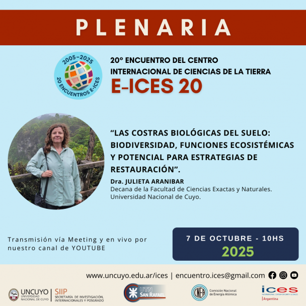 imagen E-ICES 20