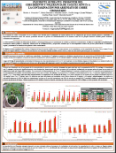 imagen PLEUROTUS OSTREATUS: PROMOTOR DEL  CRECIMIENTO Y TOLERANCIA DE TAGETES MINUTA A  LA CONTAMINACIÓN POR ARSENIATO DE COBRE  CROMATADO