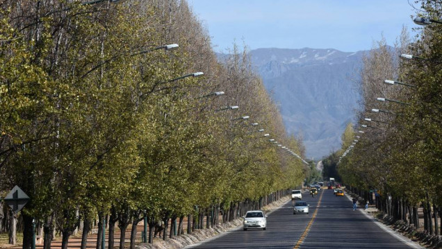 imagen Día Nacional del Árbol