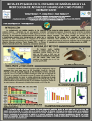 imagen METALES PESADOS EN EL ESTUARIO DE BAHÍA BLANCA Y LA  MORFOLOGÍA DE NEOHELICE GRANULATA COMO POSIBLE  BIOMARCADOR