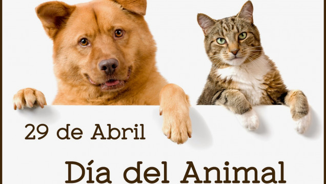 imagen Día del Animal