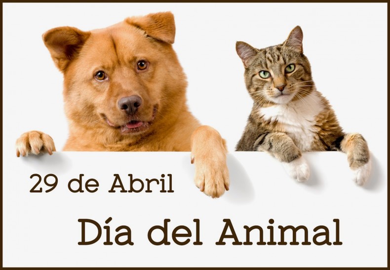 imagen Día del Animal