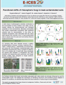 imagen FUNCTIONAL SHIFTS OF RHIZOSPHERIC FUNGI IN LEAD-CONTAMINATED SOILS