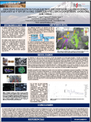 imagen PROCESOS MAGMÁTICOS Y PARÁMETROS ERUPTIVOS DE LAS ERUPCIONES  EXPLOSIVAS Y EFUSIVAS DEL COMPLEJO VOLCÁNCO LONQUIMAY, ANDES DEL  SUR, CHILE