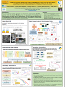 imagen COMPUTATIONAL MODELING AND EXPERIMENTAL ANALYSIS OF BACTERIAL  AGGREGATION IN PSEUDOMONAS EXTREMAUSTRALIS 2E-UNGS
