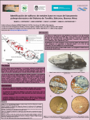 imagen IDENTIFICACIÓN DE SULFUROS DE METALES BASE EN ROCAS DEL BASAMENTO PALEOPROTEROZOICO DEL SISTEMA DE TANDILIA, BALCARCE, BUENOS AIRES