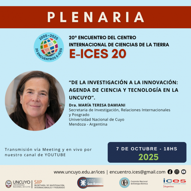 imagen E-ICES 20