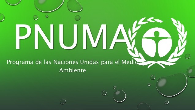 imagen Creación del Programa de Naciones Unidas para el Medio Ambiente (PNUMA)