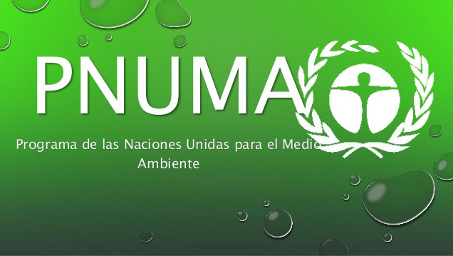 imagen Creación del Programa de Naciones Unidas para el Medio Ambiente (PNUMA)