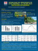 imagen ESTABILIDAD DEL RENDIMIENTO DE  VITIS VINIFERA L. CV. MALBEC BAJO  PROTECCIÓN ANTIGRANIZO