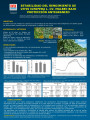 imagen ESTABILIDAD DEL RENDIMIENTO DE  VITIS VINIFERA L. CV. MALBEC BAJO  PROTECCIÓN ANTIGRANIZO