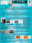 imagen ESTUDIO DE LA VARIACIÓN FUNCIONAL DE SUPERFICIES  NANOESTRUCTURADAS EMPLEADAS PARA REMEDIACIÓN DE SITIOS DEBIDO A  LAS CONDICIONES QUÍMICAS DE AGENTES AMBIENTALES