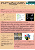 imagen  ESTUDIO PETROGRÁFICO DEL REGISTRO CERÁMICO DEL ALERO 2 DEL VADO DE LAS 3 CASCADAS, SIERRA DE COMECHINGONES, RÍO CUARTO, CÓRDOBA.