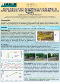 imagen EMPLEO DE BASES DE DATOS DE REANÁLISIS PARA EL ESTUDIO DE FLUJOS DE DETRITOS: CASO FLUJO DE DETRITOS DEL 13 FEBRERO 2013 EN POTRERILLOS, MENDOZA ARGENTINA