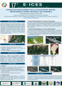 imagen ANÁLISIS DE RIESGO HÍDRICO EN LA LOCALIDAD DEL RINCÓN, DEPARTAMENTO POMÁN, PROVINCIA DE CATAMARCA