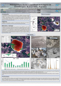 imagen HIDROQUÍMICA Y FACIES EVAPORÍTICAS EN LA LAGUNA DE CHASILAUQUEN, BUENOS AIRES, ARGENTINA